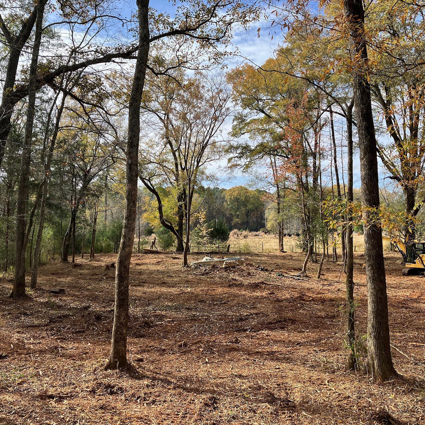 Underbrush clearing and tree removal on a land