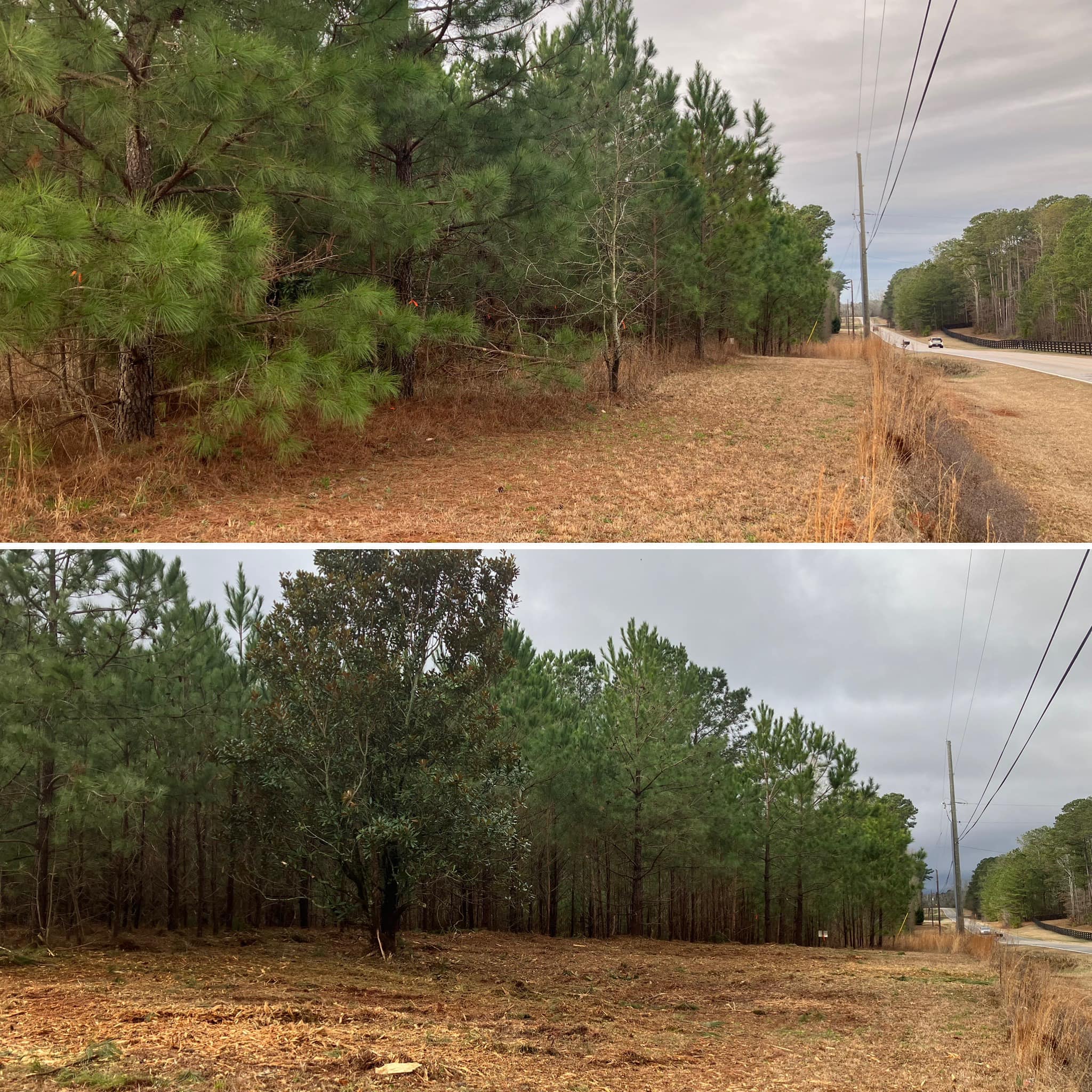 Land clearing by TBX Landwork in Morgan County