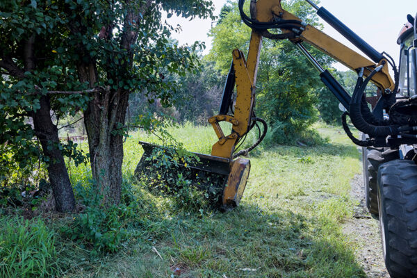 TBX Landworks provides land clearing and brush removal service as part of excavation and grading service package