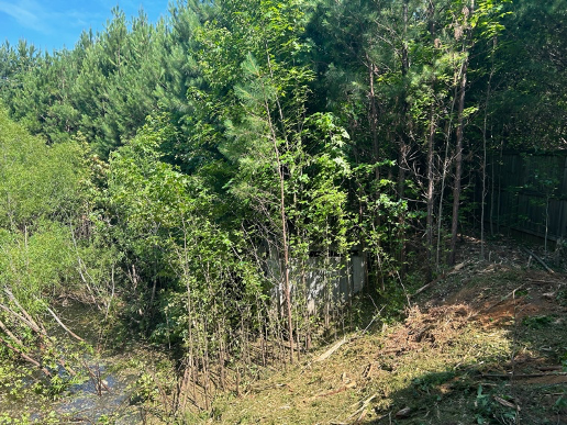 retention pond before clean up and failed inspection